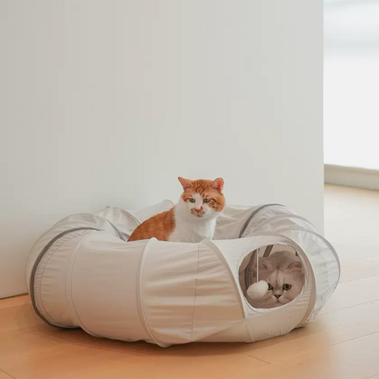 Interactive Cat Tunnel Toy for Indoor Fun & Exploration