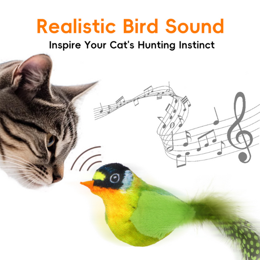 Interactive Cat Toy with Realistic Bird Sounds & Feathers