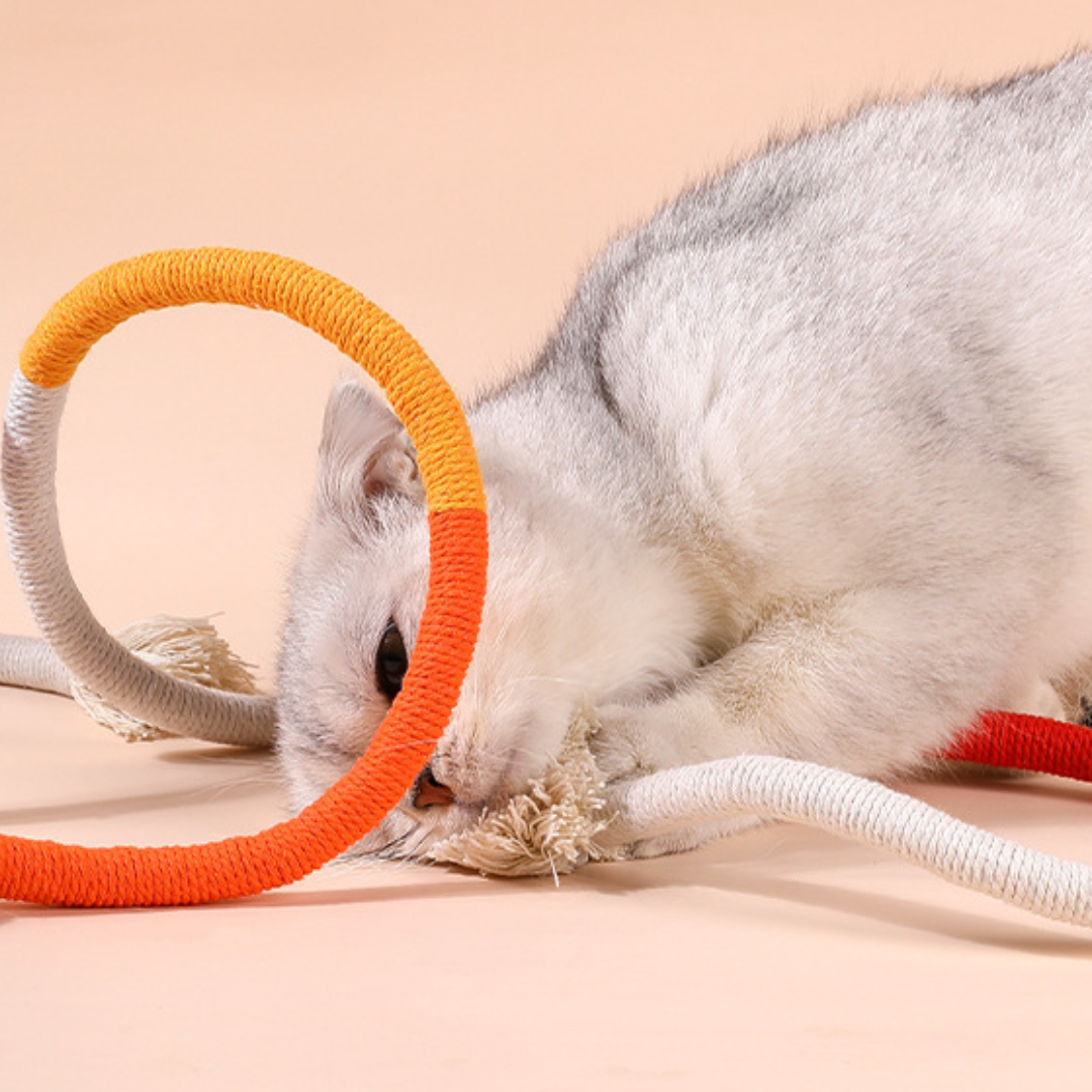 Durable Interactive Cat Toy Rope for Endless Fun