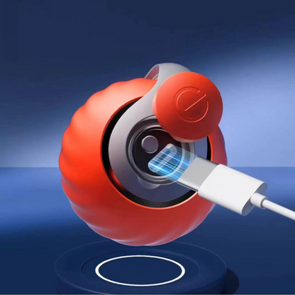Interactive LED Rolling Ball Toy for Active Pets