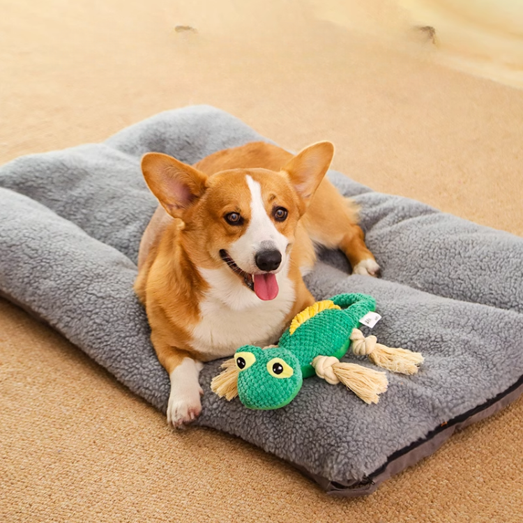 Durable Dino Squeaky Dog Toy with Rope Knot for Fun Play