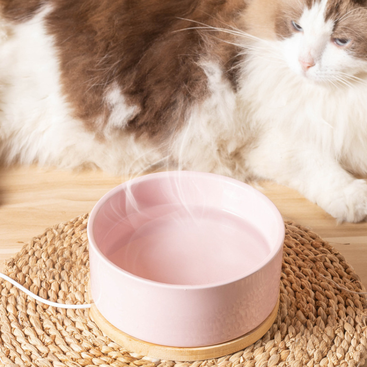 Heating Ceramic Cat Water Bowl - Keeps Water Warm & Fresh