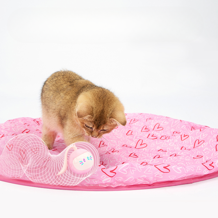 Interactive Smart Magic Ball Cat Toy for Endless Fun