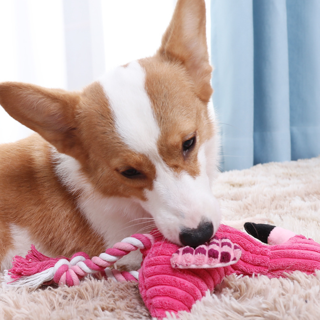Interactive Squeaker Plush Dog Toy - Fun Flamingo Design
