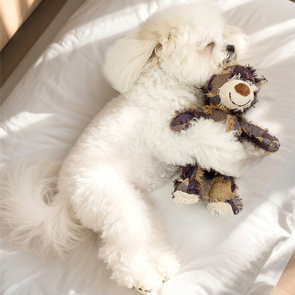 Interactive Beggar Bear Dog Toy - Fun Sound for Playtime!