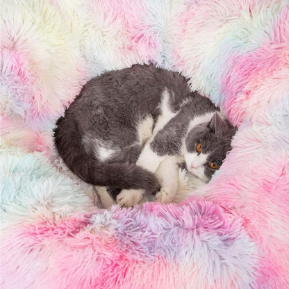 Collapsible Cat Tunnel Bed with Cozy Central Mat - Fun & Interactive!