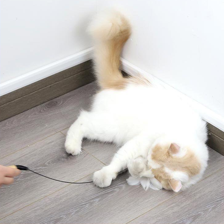 Interactive Cat Toy: Feather Teaser Wand for Endless Fun