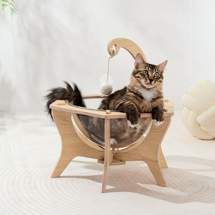 Interactive Transparent Cat Bed with Sisal Ball for Fun Play