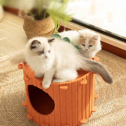 Interactive Carrot Cat Tunnel Bed - Cozy Felt Hideaway