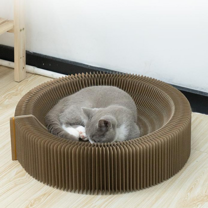 Interactive Cat Toy: Durable Scratching Board for Fun Play
