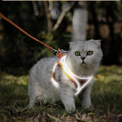 Durable Reflective Cat Harness & Leash for Safe Walks