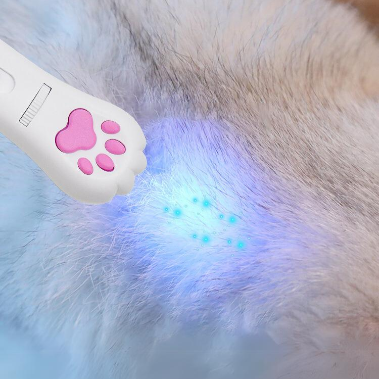 Interactive Laser Cat Toy for Fun Playtime with Kittens