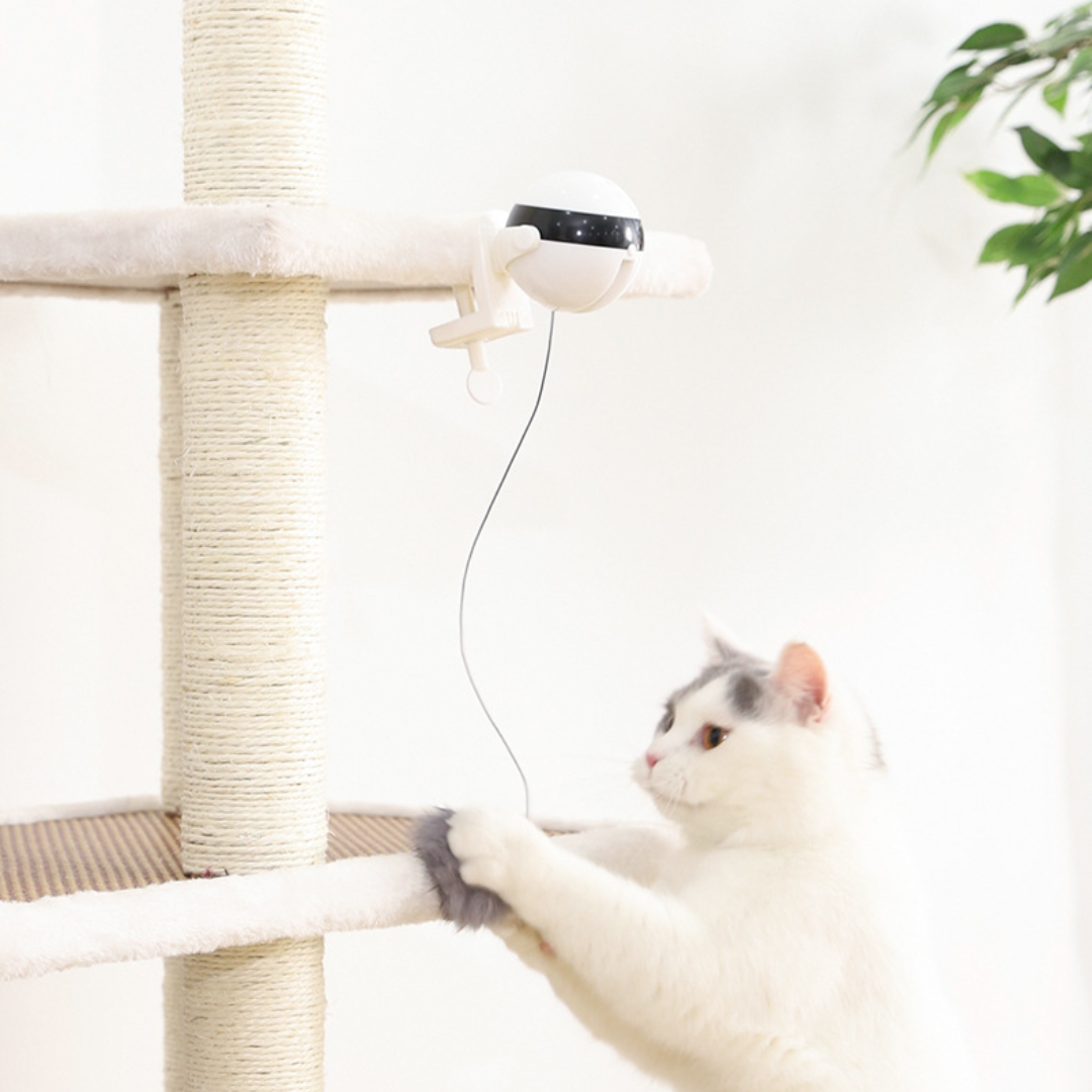 Interactive Retractable Feather Cat Toy for Endless Fun