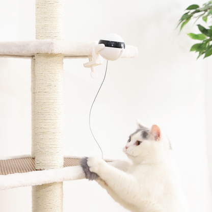 Interactive Retractable Feather Cat Toy for Endless Fun