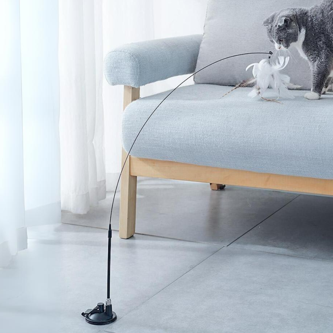 Interactive Suction Cup Cat Toy with Feather Teaser