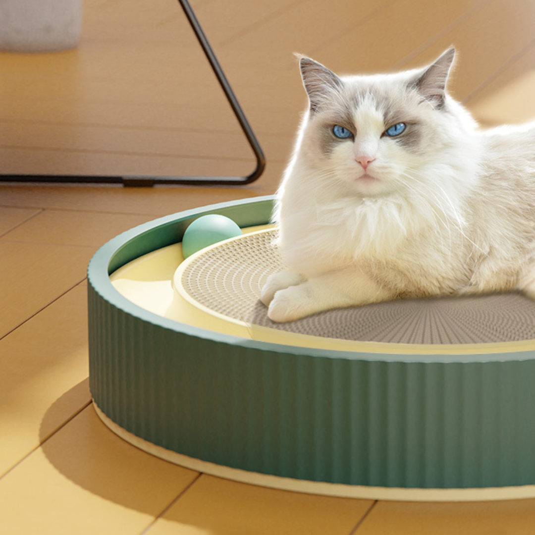 Interactive Cat Toy with Rolling Ball Tracks for Endless Fun
