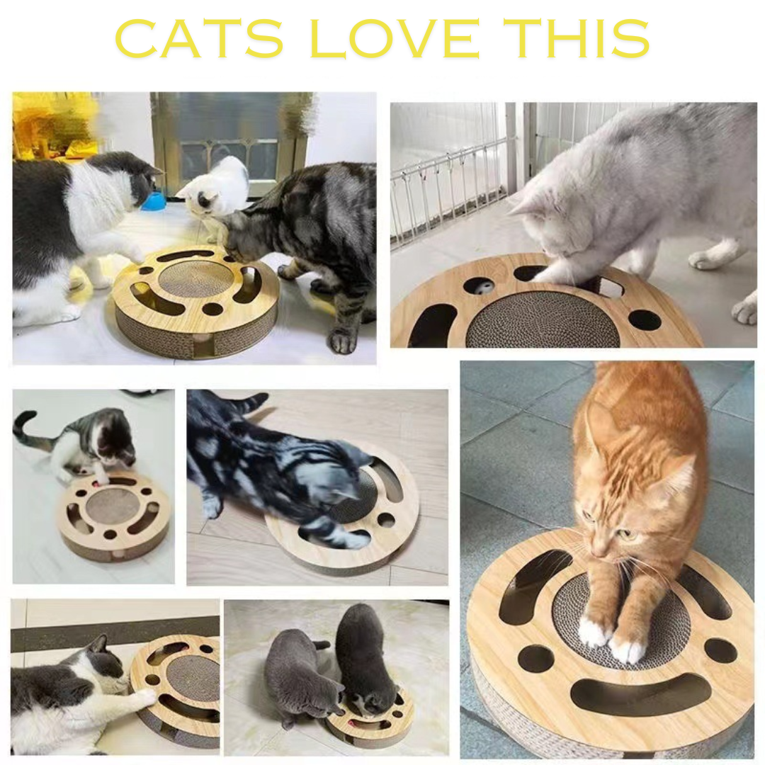 Interactive Cat Toy: Fun Maze & Scratch Cardboard Design