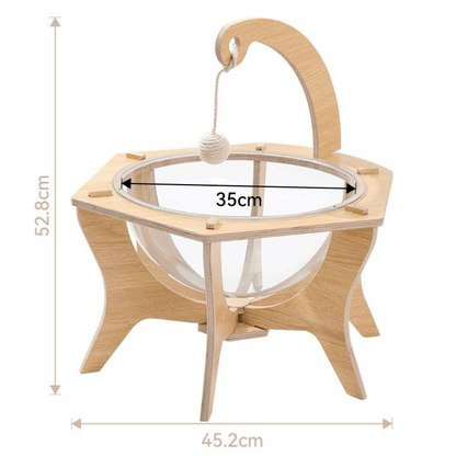 Interactive Transparent Cat Bed with Sisal Ball for Fun Play
