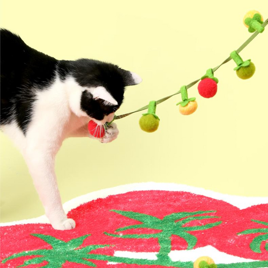Interactive Cat Toy: Catnip Tomato Teaser with Bell