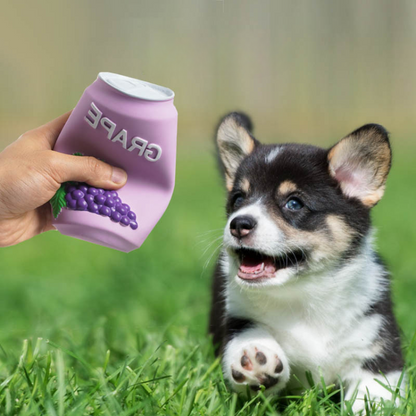 Durable Dog Toy: Fun Squeaky Can Bottle Shape