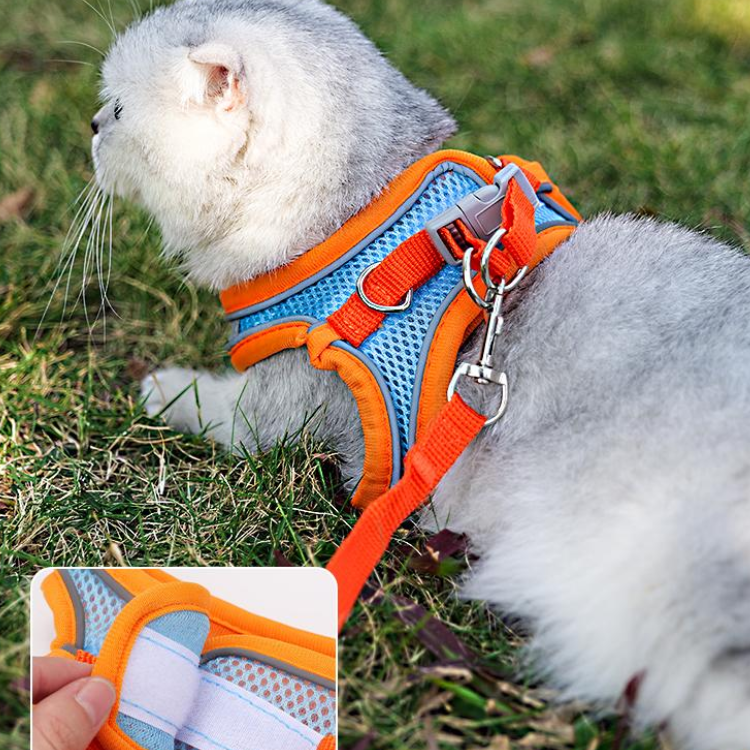 Durable Reflective Cat Harness & Leash for Safe Walks