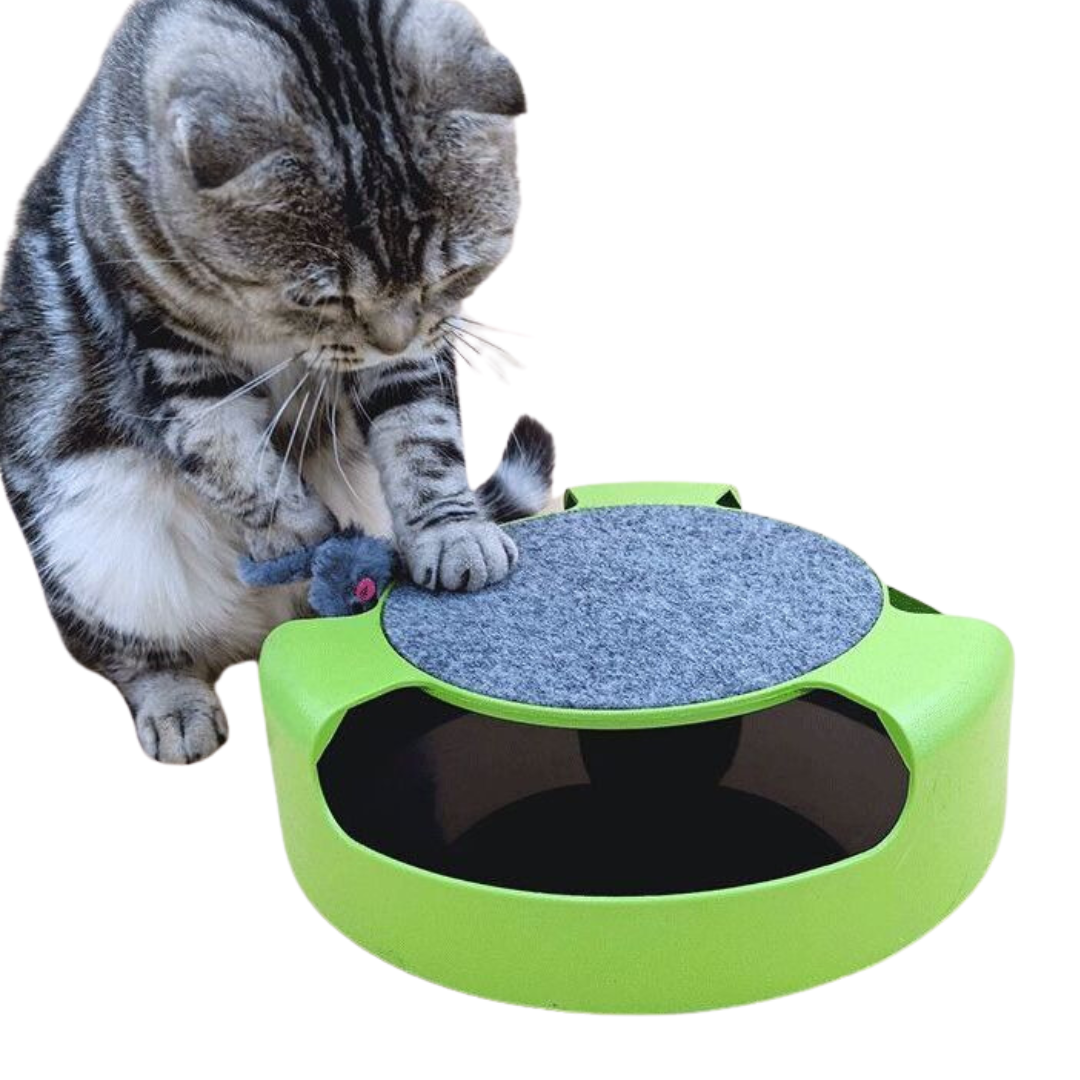 Interactive Cat Toy: Fun Mouse Chaser for Indoor Cats