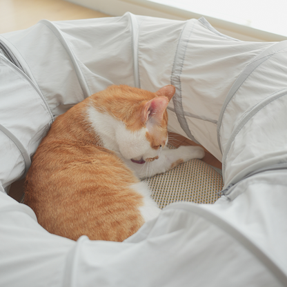 Interactive Cat Tunnel Toy for Indoor Fun & Exploration
