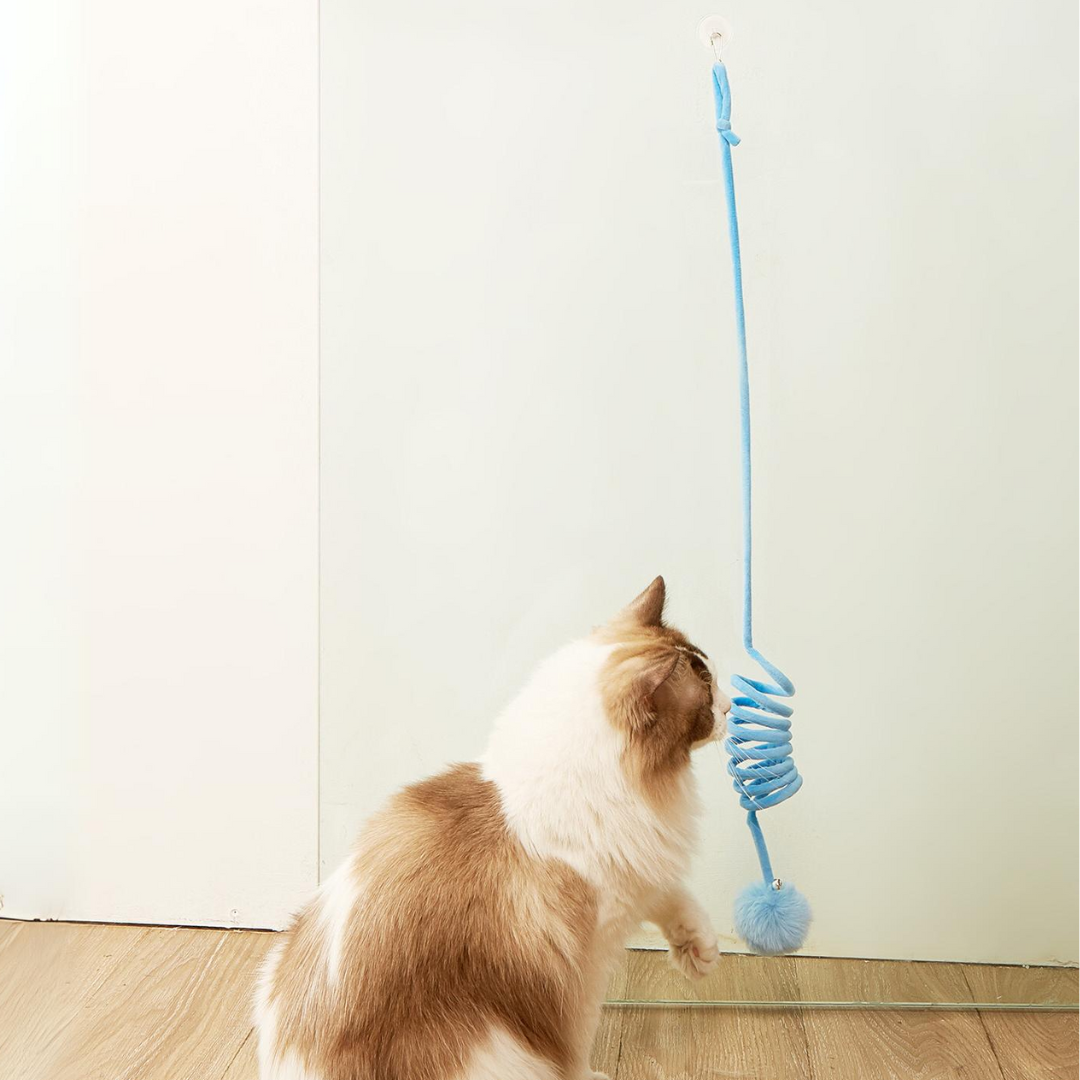 Interactive Hanging Cat Toy with Bell for Endless Fun