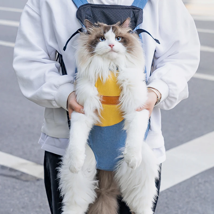 Durable Cat Backpack Carrier - Comfortable & Stylish Pet Accessory