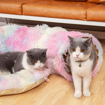 Collapsible Cat Tunnel Bed with Cozy Central Mat - Fun & Interactive!