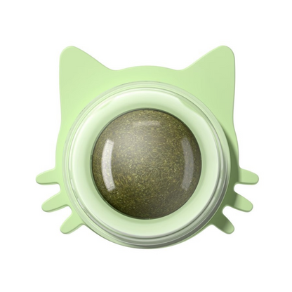 Interactive Catnip Ball Toys for Fun Cat Playtime