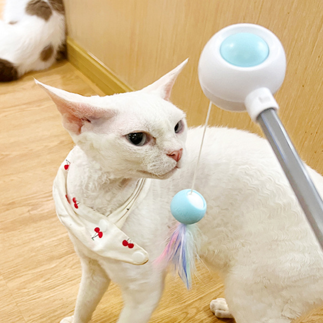 Interactive Cat Toy Wand with Laser Lights for Fun Playtime