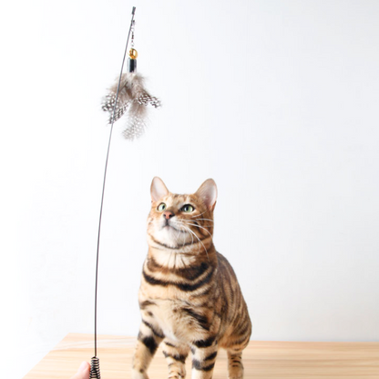 Interactive Cat Toy: Feather Teaser Wand for Endless Fun