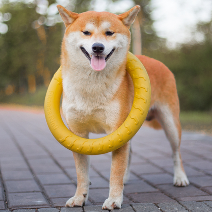 Durable Dog Chew Ring Ball Toy for Interactive Play