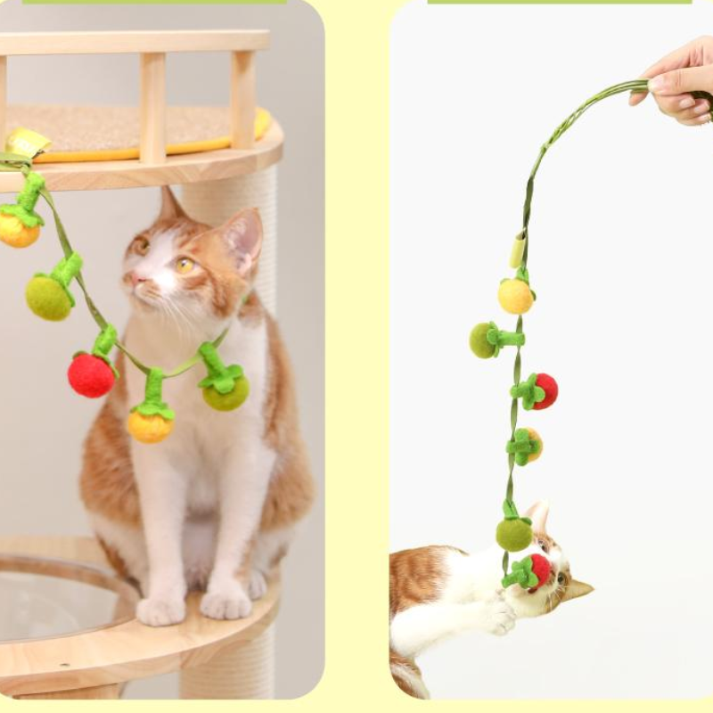 Interactive Cat Toy: Catnip Tomato Teaser with Bell