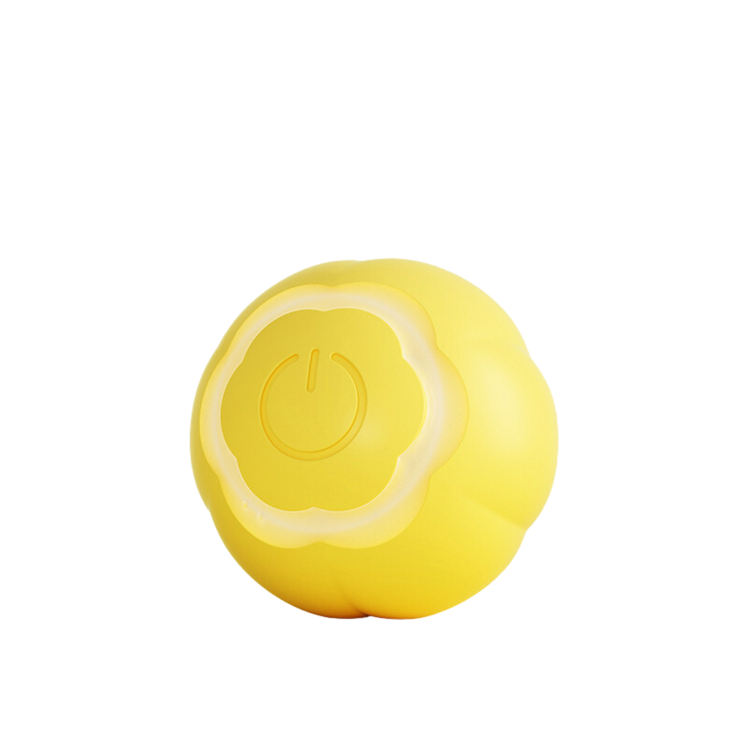 Interactive Automatic Cat Toy for Endless Fun