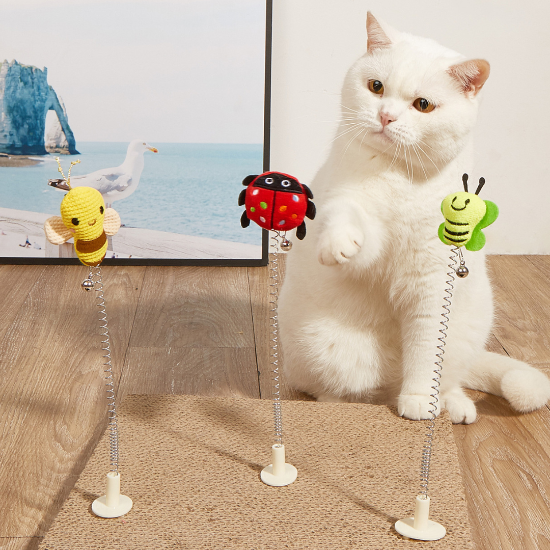Durable Cat Toy Accessories for Fun Scratching & Play