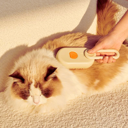 Interactive Pet Grooming Tool: Spray Massage Comb for Cats