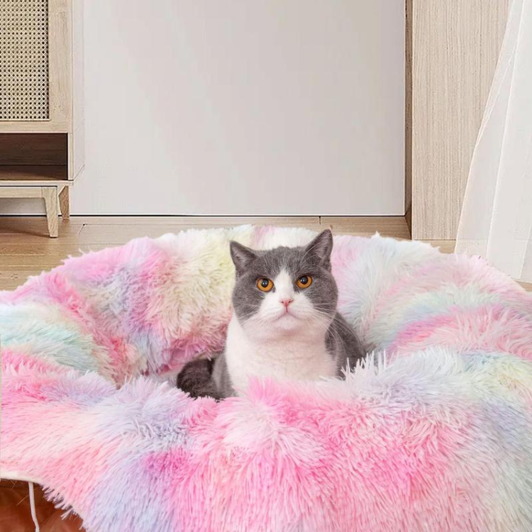 Collapsible Cat Tunnel Bed with Cozy Central Mat - Fun & Interactive!