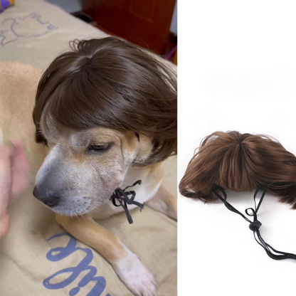 Funny Pet Hair Wig Costume - Fun Accessory for Pets
