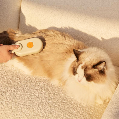 Interactive Pet Grooming Tool: Spray Massage Comb for Cats