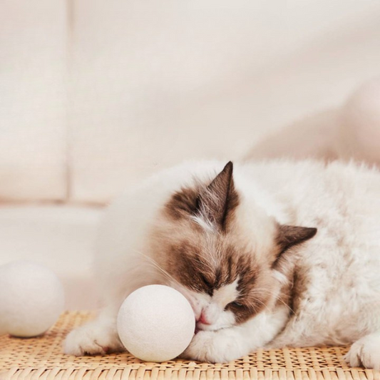 Interactive Soft Wool Cat Toy Ball for Endless Fun