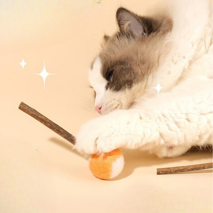 Durable Cat Toy: Chew Ball & Stick for Fun Playtime