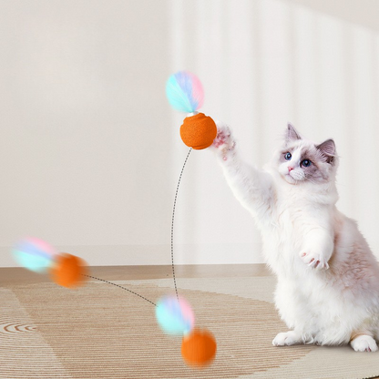 Durable Interactive Cat Toy Ball - Colorful Fun for Cats