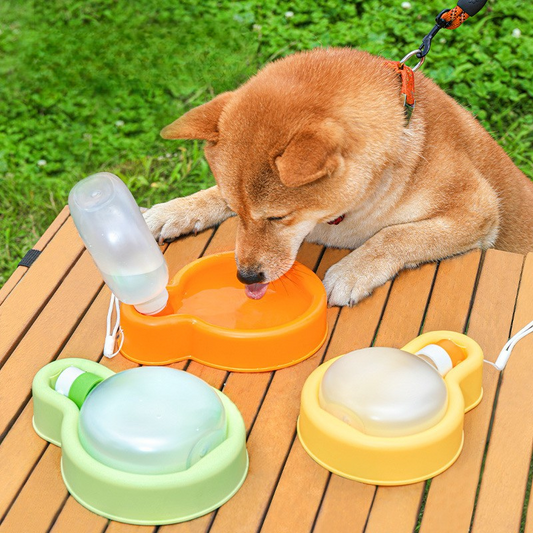 Durable Portable Dog Water Bottle for Outdoor Adventures
