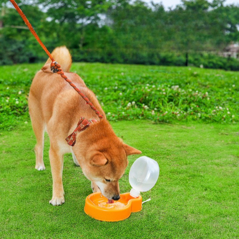 Durable Portable Dog Water Bottle for Outdoor Adventures