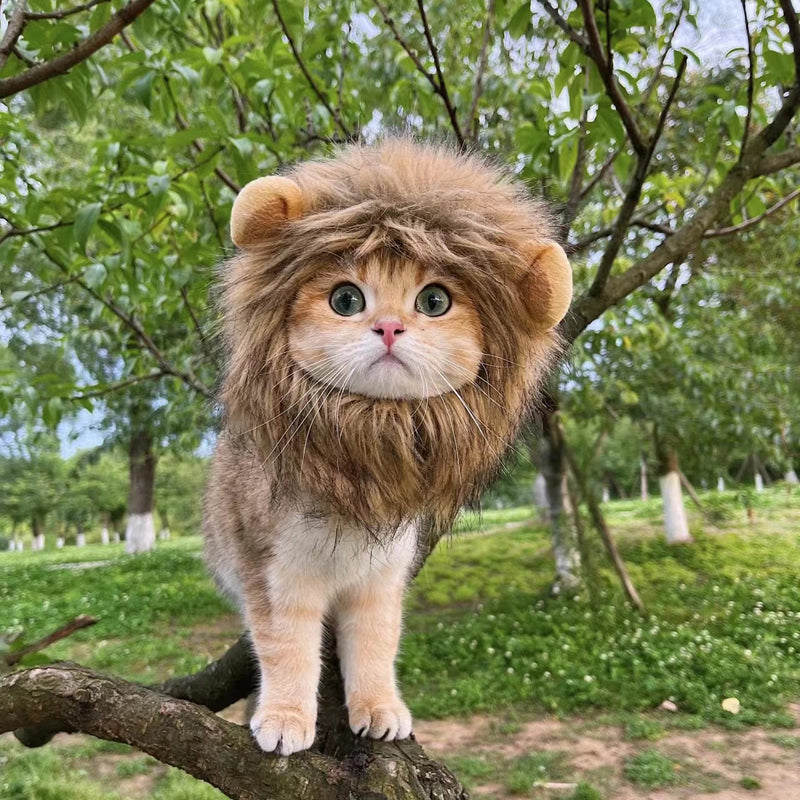 Fun Lion Mane Cat Costume Wig - Adorable Pet Accessory