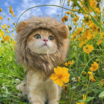 Fun Lion Mane Cat Costume Wig - Adorable Pet Accessory