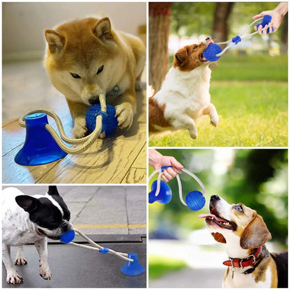 Durable Suction Cup Dog Toy for Interactive Fun