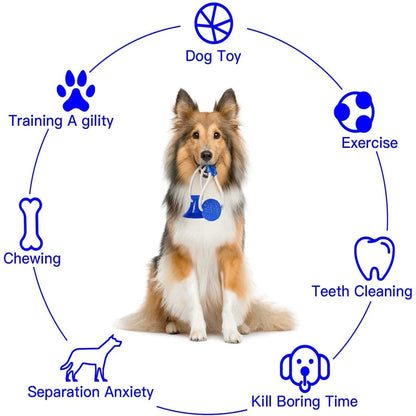 Durable Suction Cup Dog Toy for Interactive Fun